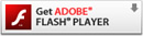 Adobe Flash
