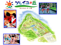 ソレイユの丘