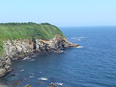 三浦方面 神奈川県道路公社